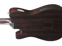 Ibanez FRH20FMN-DGL Ibanez FRH20FMN-DGL